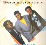 Imagination - I Know What Love Is