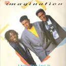 12inch Vinyl Single - Imagination - I Know What Love Is