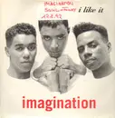 12inch Vinyl Single - Imagination - I Like It