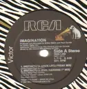12'' - Imagination - Instinctual - different tracks than regular releasege