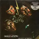 LP - Imagination - Night Dubbing