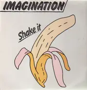 Imagination - Shake It