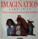 LP - Imagination - All The Hits - Hot Sensational Re-Mixes