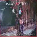 12inch Vinyl Single - Imagination - Last Days Of Summer