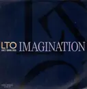 12inch Vinyl Single - Imagination - Love's Taking Over