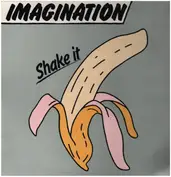 Imagination