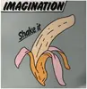 LP - Imagination - Shake It