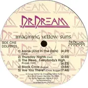 LP - Imagining Yellow Suns - Imagining Yellow Suns