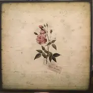 In The Pines - In the Pines