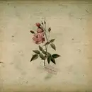 CD - In The Pines - In The Pines - Digisleeve