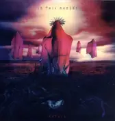 In This Moment