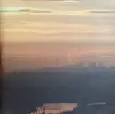 LP-Box - In Aeternam Vale - Pink Flamingos