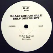 In Aeternam Vale - Self Destruct