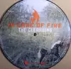 7inch Vinyl Single - In Case Of Fire - The Cleansing