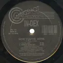 12inch Vinyl Single - In-Dex - Now You're Gone