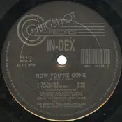 In-Dex - NOW YOU'RE GONE
