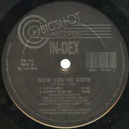 In-Dex - NOW YOU'RE GONE