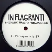 In Flagranti - Skematic Tracks Volume One