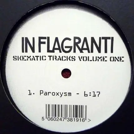 In Flagranti - Skematic Tracks Volume One