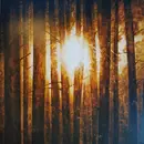 LP-Box - In Mourning - Echoes - Clear vinyl with splatters, LTD ED, Numbered