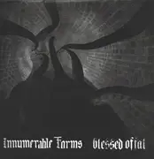 LP - Innumerable Forms / Blessed Offal - Innumerable Forms / Blessed Offal