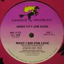 12'' - Inner City Jam Band - What I Did For Love