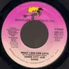 7inch Vinyl Single - Inner City Jam Band - What I Did For Love