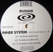 Inner System - Evolution