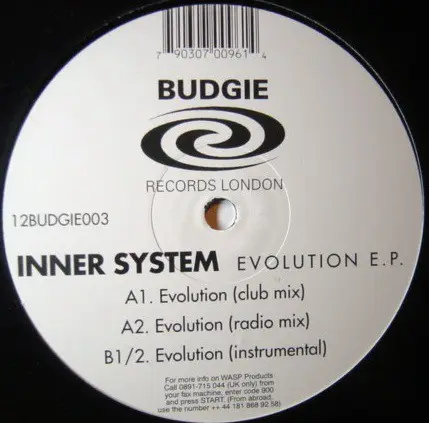 Inner System - Evolution