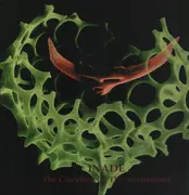Double LP - Inade - The Crackling Of The Anonymous - Ltd. Ed., Gatefold
