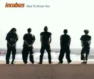 Incubus - Nice to Know You