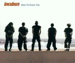 Incubus - Nice to Know You