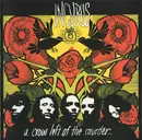 CD & DVD - Incubus - A Crow Left Of The Murder...