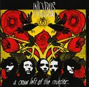 CD - Incubus - A Crow Left Of The Murder...