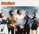 CD Single - Incubus - Are You In?