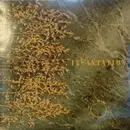 LP - Incantation - The Meeting