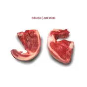 Induceve - Jazz Chops EP