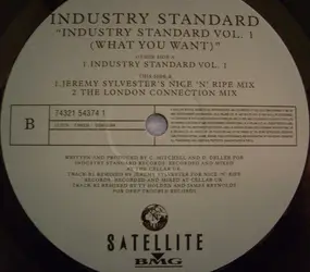 Industry Standard - Industry Standard Vol.1 (What You Want)