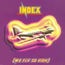 12inch Vinyl Single - Index - We Fly So High