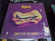 12inch Vinyl Single - Index - We Fly So High