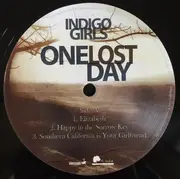 Double LP - Indigo Girls - One Lost Day