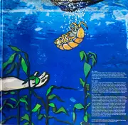 Double LP - Indigo Girls - Poseidon And The Bitter Bug