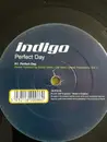 12inch Vinyl Single - Indigo - Perfect Day