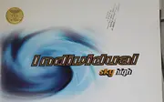 12inch Vinyl Single - Individual - Sky High