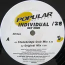 12inch Vinyl Single - Individual - Sky High
