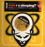 12inch Vinyl Single - Indo - R U Sleeping?