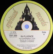 In-Fluence - H2O Experiment