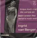 7'' - Ingrid van Bergen - Knips Doch Mal Die Lampe An