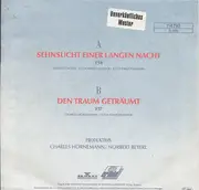 7inch Vinyl Single - Inkya Shearer - Sehnsucht Einer Langen Nacht