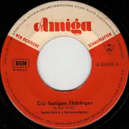 Instrumentalgruppe Herbert Roth - Die Lustigen Thüringer / Rennsteiglied